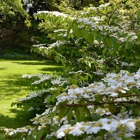 Les Jardins Bed & Breakfast *