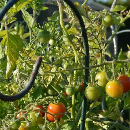 Les Jardins