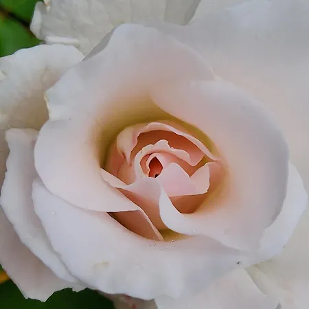 B&B Les Jardins Hoymille