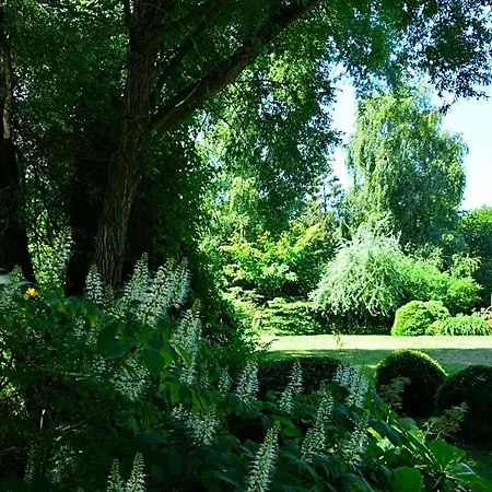 B&B Les Jardins Hoymille