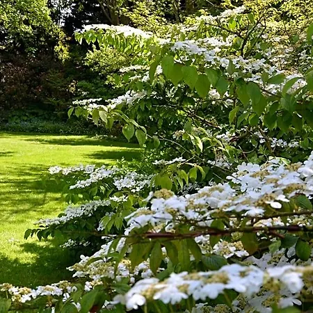 Les Jardins Hoymille