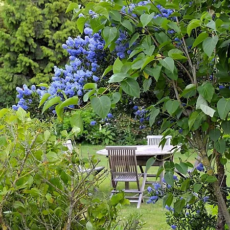 B&B Les Jardins Hoymille